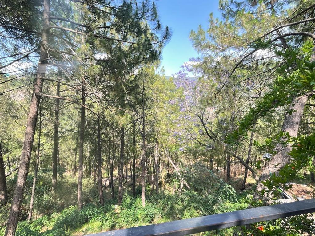 Sunrise Cottage Dagshai 外观 照片